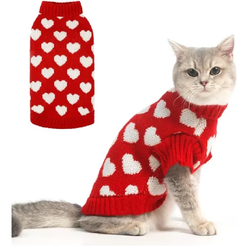 Abrigo Felino