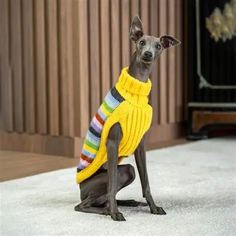 Hoodie Urbano Canino